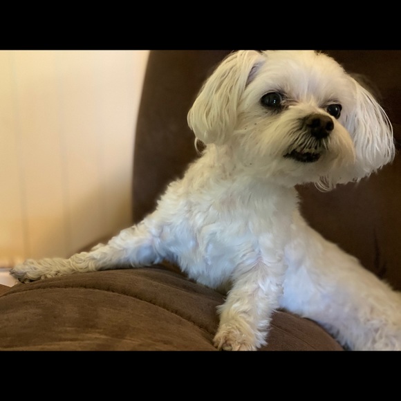 Meet your Posher, Dustin - Picture 3 of 5